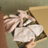 Kraamcadeau brievenbus Giftbox knuffeldoekje - meisjes
